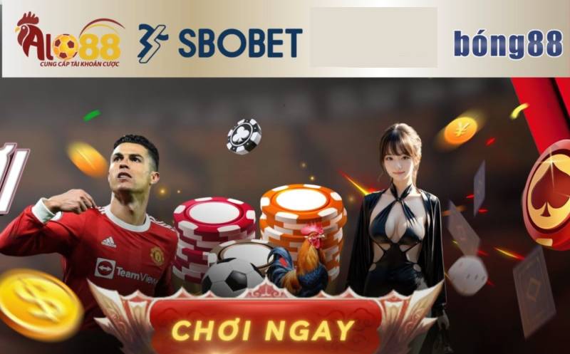 Alo88 – Nhà Cái Đá Gà - Link Vào Nhà Cái Alo 88 Không Bị Chặn 3 Cá cược thể thao – Trải nghiệm đỉnh cao cùng Alo88