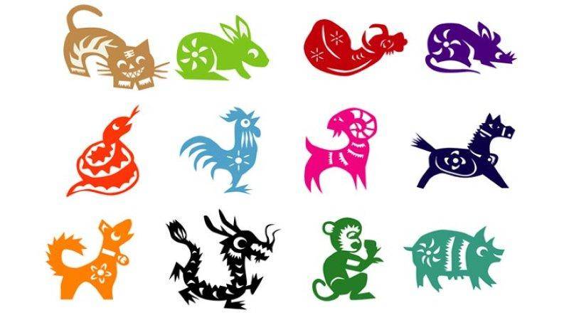 Cách áp dụng ngay hôm nay – check nhanh chi tiết