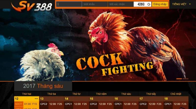Sảnh đá gà SV388 là gì?