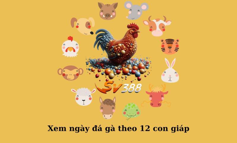 Vì sao phải coi ngày đá gà theo 12 con giáp?